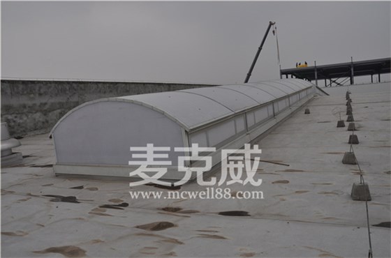 側(cè)開型電動(dòng)天窗